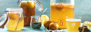 Acheter équipement pour kombucha France