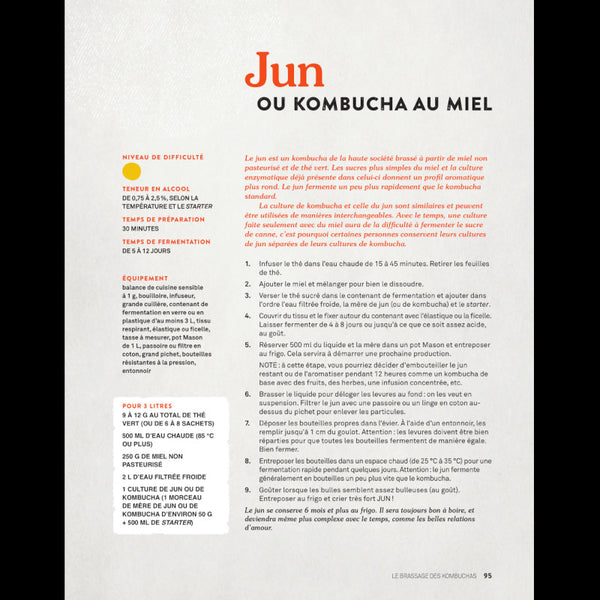 Révolution Kombucha extrait - recette de jun