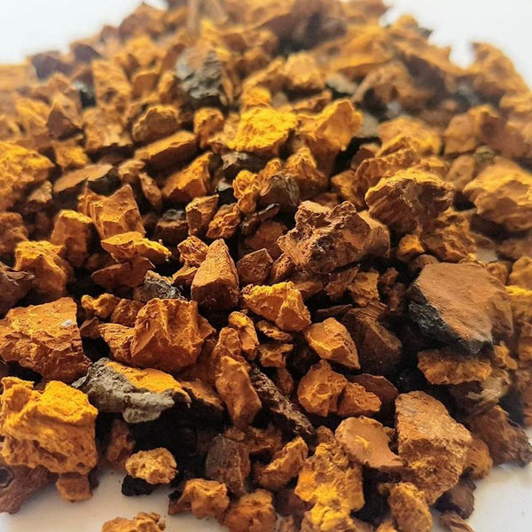 champignon chaga macro (pépittes)