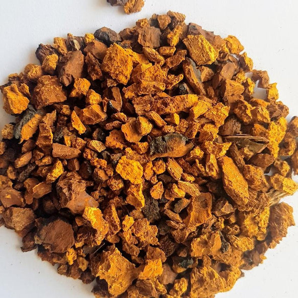 champignon chaga (pépittes)