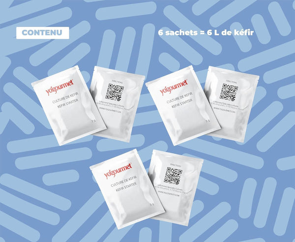 contenu boite ferments kéfir lait yogourmet