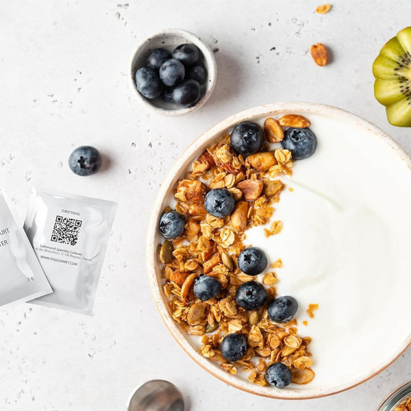 Ferments Yaourt "Original" - Yogourmet