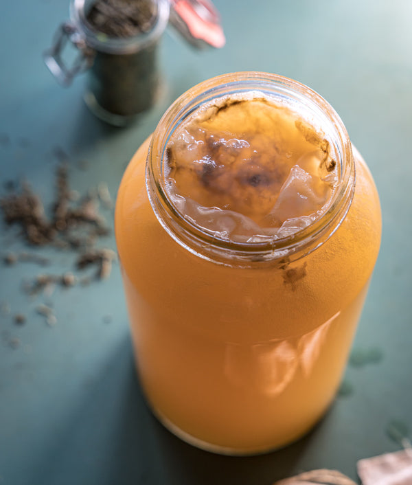 Kombucha en fermentation avec la mère de kombucha