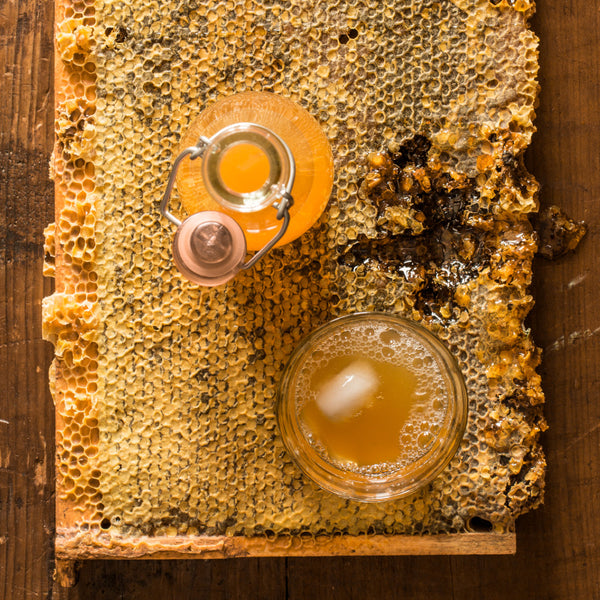 Thé jun (kombucha au miel)