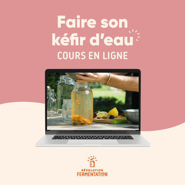Cours en ligne Comment faire son kéfir d'eau
