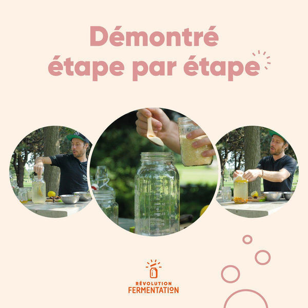 Formation en ligne montrant les étapes pour faire du kéfir de fruits