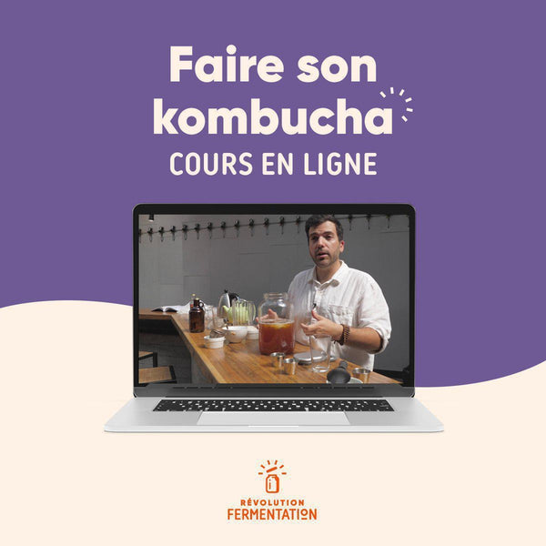 Cours en ligne Comment faire son kombucha