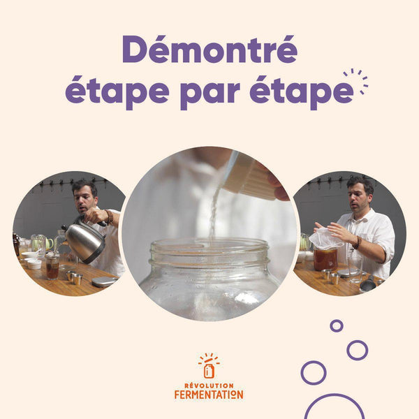 Formation en ligne Comment faire son kombucha