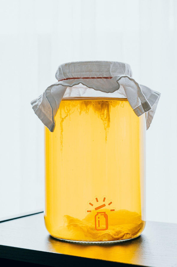 Jarre de kombucha avec mère