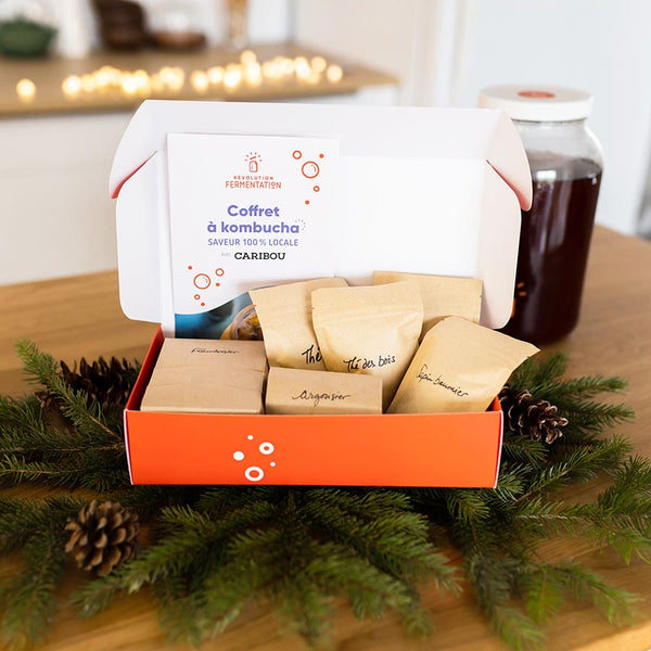 coffret de tisanes pour kombucha