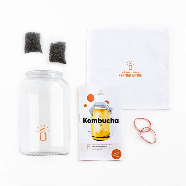 Kit à kombucha maison