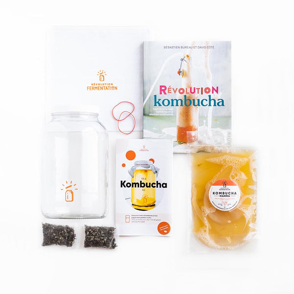 Kit à kombucha maison