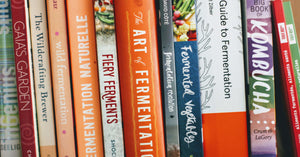 Acheter livres de fermentation France