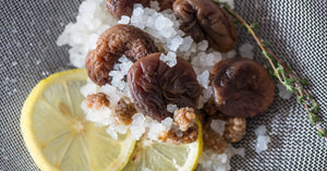 Acheter culture de fermentation (starter) France