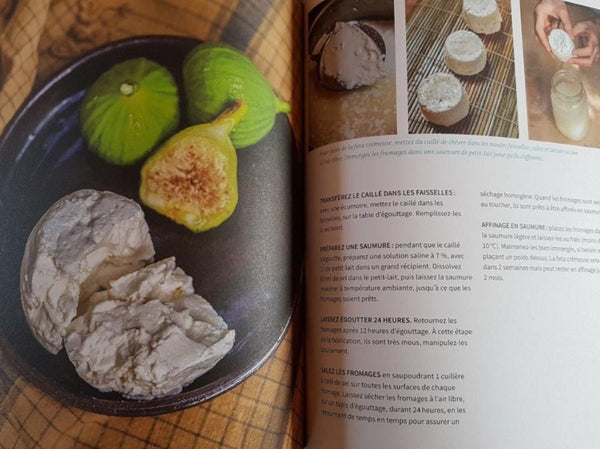 Recette de Feta crèmeuse (+ photos) du livre L'art de faire son fromage